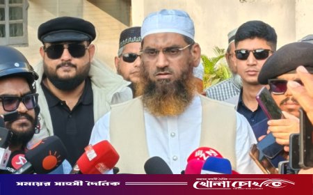 ঢাকা-১৩ আসনে প্রাথমিক ফলে এগিয়ে মামুনুল হক, দ্বিতীয় অবস্থানে ববি হাজ্জাজ