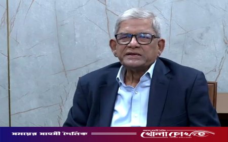 দ্রুততম সময়ে পৌর-সিটি ও উপজেলা নির্বাচনের উদ্যোগ নেওয়া হবে -মির্জা ফখরুল