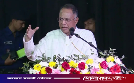 মাতৃভাষা ধারণ করতে হলে ‘ইনকিলাব জিন্দাবাদ’ চলবে না: জ্বালানিমন্ত্রী টুকু