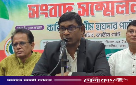 ‘মেটিকুলাস ডিজাইনে’ জাতীয় পার্টিকে হারানো হয়েছে: শামীম হায়দার পাটোয়ারী