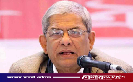 সংরক্ষিত নারী আসনে প্রার্থী মনোনয়ন নিয়ে যা বললেন মির্জা ফখরুল