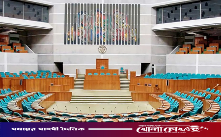 ত্রয়োদশ সংসদের প্রথম অধিবেশন ১২ মার্চ: সভাপতিত্বের দৌড়ে বিএনপির ৪ জ্যেষ্ঠ নেতা