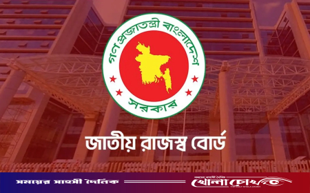 প্রবাসীদের ই-রিটার্ন দাখিলে বিশেষ সুবিধা দিল এনবিআর