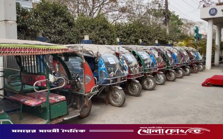 ফরিদপুরে আন্তঃজেলা ইজিবাইক চোর চক্রের ১২ সদস্য গ্রেপ্তার, উদ্ধার ১৮টি গাড়ি