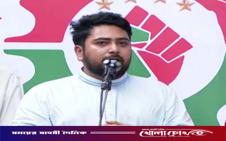 বিএনপি ও আওয়ামী লীগ মিলেমিশে এমপি মাসউদের গাড়িবহরে হামলা করেছে: নাহিদ