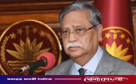রাষ্ট্রপতি মো. সাহাবুদ্দিনকে অপসারণে আইনি নোটিশ