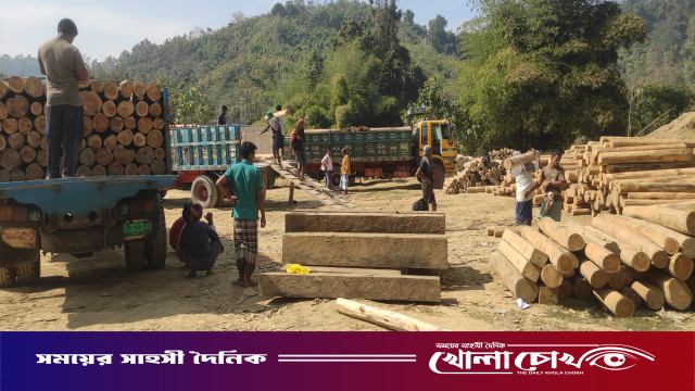 রুমায় রেঞ্জ কর্মকর্তার যোগসাজশে অবাধে চলছে কাঠ পাচার: জনবহুল এলাকায় অবৈধ ডিপো