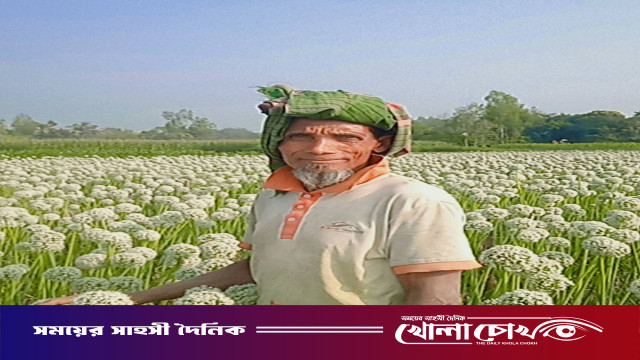 আত্রাইয়ে বেড়েছে পিঁয়াজের বীজ চাষ, সাদা ফুলের প্রশান্ত সৌন্দর্যে লুকিয়ে রয়েছে কৃষকদের ‘কালো সোনা’