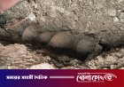 ভাঙ্গায় মাটি খুঁড়তেই মিলল ১৫টি পুরনো কলসি, গুপ্তধনের গুজবে মানুষের ঢল