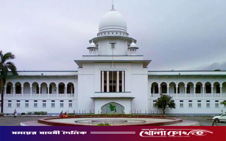 ত্রয়োদশ জাতীয় সংসদ নির্বাচনে ৯ আসনে কারচুপির অভিযোগে মামলা