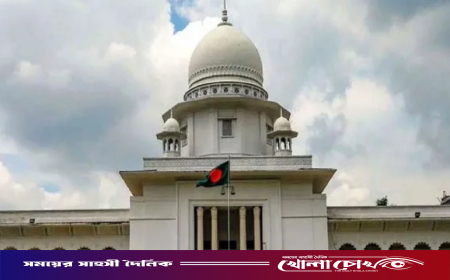 গণভোট-জুলাই সনদ বাস্তবায়ন কেন অসাংবিধানিক নয়, হাইকোর্টের রুল