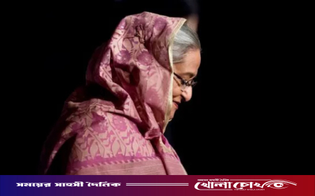 শেখ হাসিনাকে দেশে ফেরাতে নতুন উদ্যোগ নিচ্ছে সরকার: চিফ প্রসিকিউটর