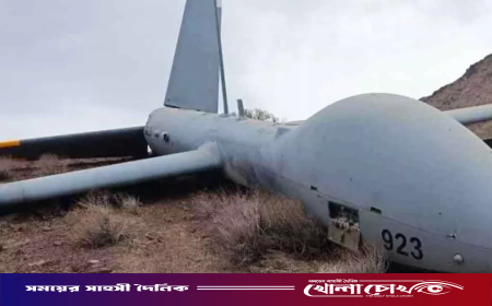 আকাশ থেকে ইসরাইলের অত্যাধুনিক ড্রোন টেনে নামিয়েছে আইআরজিসি