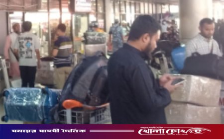 বিশেষ ফ্লাইটে দুবাই থেকে দেশে ফিরলেন ৩৭৮ বাংলাদেশি