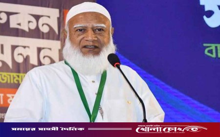 অন্তর্বর্তী সরকার বিএনপির কাছে নতিস্বীকার করেছে: ডা. শফিকুর রহমান