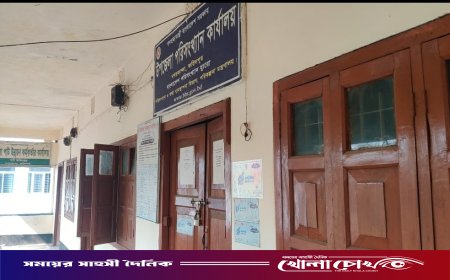 নগরকান্দায় অফিসে ঝুলছে তালা, নেই কর্মকর্তা: চরম ভোগান্তিতে সেবাপ্রত্যাশীরা
