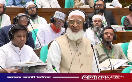 জামায়াত আমিরকে থামালেন স্পিকার