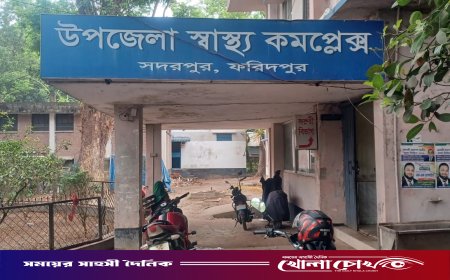 সদরপুরে পাগলা কুকুরের তাণ্ডব: শিশুসহ আহত অন্তত ১৬