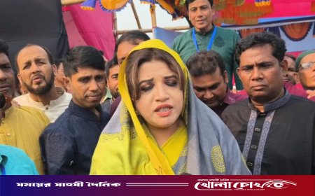 জীবনের ঝুঁকিতে থাকা প্রবাসীদের সরকারি খরচে ফেরানো হচ্ছে: পররাষ্ট্র প্রতিমন্ত্রী