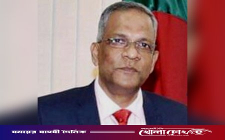 ডিজিএফআইয়ের সাবেক মহাপরিচালক শেখ মামুন খালেদ ডিবি হেফাজতে