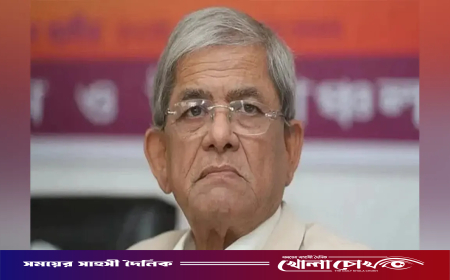 দৌলতদিয়া ফেরিঘাটে বাস দুর্ঘটনায় মির্জা ফখরুলের শোক প্রকাশ