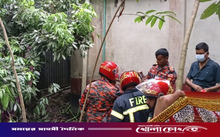 ফরিদপুরে সেপটিক ট্যাংক থেকে বৃদ্ধার মরদেহ উদ্ধার