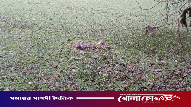 শ্রীনগরে পুকুরে মিললো ৯০ বছর বয়সী ভারসাম্যহীন নারীর অর্ধ/গলিত লা/শ