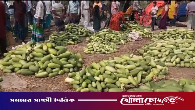 রমজানে সদরপুরে বাঙ্গীর বাম্পার ফলন: হাসি ফুটেছে চাষিদের মুখে
