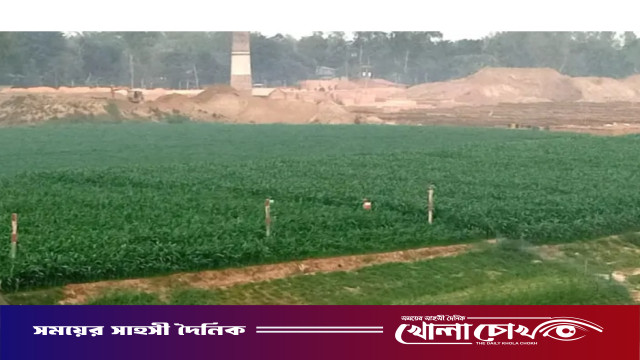 আত্রাই নদীর দুই তীরে বিস্তীর্ণ এলাকা জুড়ে দোল খাচ্ছে সবুজের সমারোহ