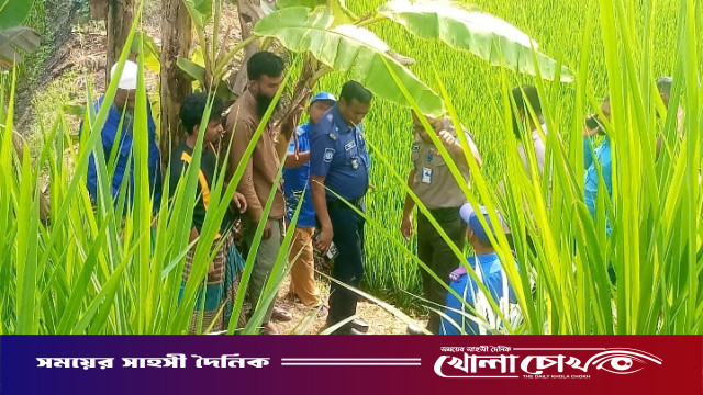 ফরিদপুরের মধুখালীতে ধানক্ষেত থেকে যুবকের মরদেহ উদ্ধার