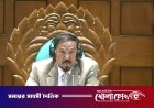 আমরাই যেচে সর্বনাশ ডেকে এনেছিলাম: টিপাইমুখ বাঁধ নিয়ে সংসদে স্পিকার