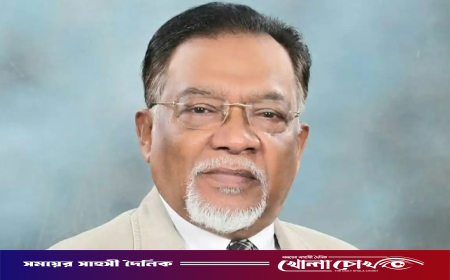 আগামী তিন মাসে জ্বালানি তেলের দাম বাড়ছে না: প্রধানমন্ত্রীর উপদেষ্টা