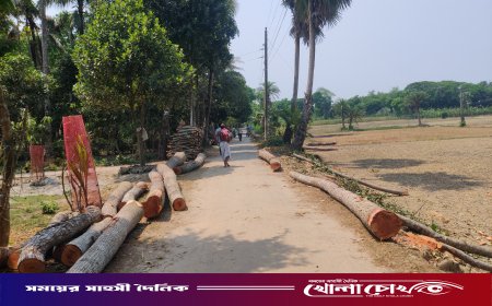 নগরকান্দায় সরকারি রাস্তার পাশ থেকে গাছ কাটার অভিযোগ