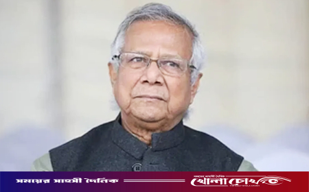 ড. ইউনূসসহ সাবেক অন্তর্বর্তী সরকারের সব উপদেষ্টার দেশত্যাগে নিষেধাজ্ঞা চেয়ে আইনি নোটিশ