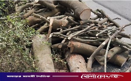 নগরকান্দায় মিথ্যা মামলায় জেলে পাঠিয়ে গাছ কেটে নেওয়ার অভিযোগ, থানায় লিখিত অভিযোগ