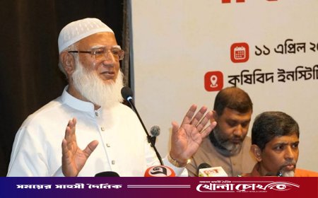 তেল আছে শুধু সংসদে, দেশে নেই : জামায়াত আমির