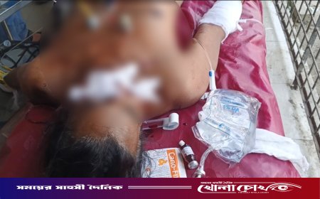 কুষ্টিয়ায় কুরআন অবমাননার অভিযোগে মাজারে হামলা ও অগ্নিসংযোগ