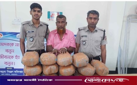 নেত্রকোনায় ডিএনসি’র বড় সাফল্য: সিএনজি তল্লাশিতে ২৮ কেজি গাঁজাসহ কারবারি আটক