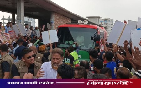 প্রধানমন্ত্রীর গাড়িবহর থামিয়ে বিএনপি নেতা নূরুল ইসলাম সরকারের মুক্তির দাবি