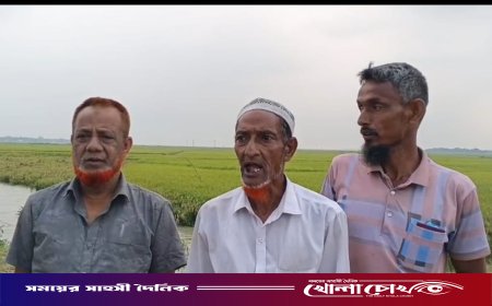 নেত্রকোনার মদনে জ্বালানি তেলের তীব্র সংকট: মাঠভরা পাকা ধান নিয়ে মহাবিপাকে কৃষক