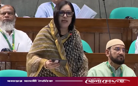 আমার এলাকার হাসপাতাল নিজেই এখন রোগীর মতো: রুমিন ফারহানা