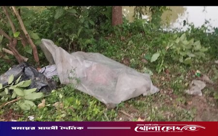 নগরকান্দায় ট্রেনে কাটা পড়ে বৃদ্ধের মর্মান্তিক মৃত্যু