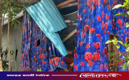 সালথায় আধিপত্য বিস্তারকে কেন্দ্র করে সংঘর্ষ, ভাঙচুর