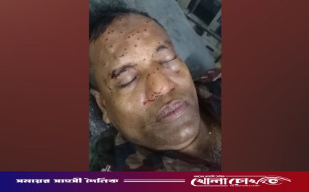 হরিপুর সীমান্তে বিএসএফের গুলিতে বিজিবি সদস্য আহত