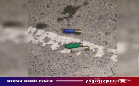 কুষ্টিয়ায় ব্রাশফায়ার: স্বেচ্ছাসেবকদল নেতাসহ আহত ১০