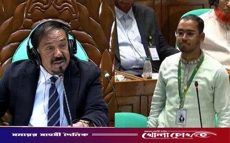 সংসদে হান্নান মাসউদকে স্পিকার: ‘আপনি কি সরকারি দলে যোগ দিয়েছেন