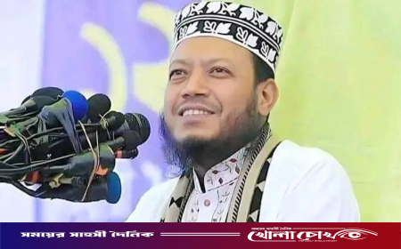 হাইকোর্টে আগাম জামিন চাইলেন আমির হামজা