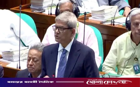 শিগগিরই শুরু হবে স্থানীয় সরকার নির্বাচনের প্রক্রিয়া: মির্জা ফখরুল