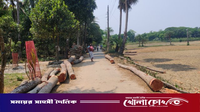 নগরকান্দায় সরকারি রাস্তার পাশ থেকে গাছ কাটার অভিযোগ