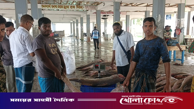 পিরোজপুরে এক জেলের জালে ধরা পড়েছে ১০ লাখ টাকার লাক্ষা মাছ